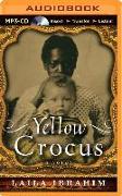 Yellow Crocus