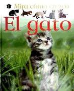 El gato