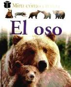 El oso