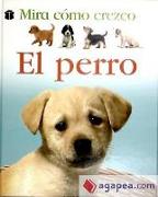 El perro