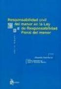 Responsabilidad civil del menor en la Ley de responsabilidad penal del menor