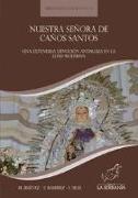 Nuestra Señora de Caños Santos : una extendida devoción andaluza en la Edad Moderna