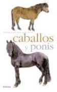 Caballos y ponis