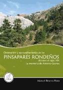 Ordenación y aprovechamiento de los pinsapares rondeños durante el siglo XIX : la memoria de Antonio Láynez