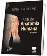 Atlas de anatomía humana Netter