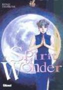 SPIRIT OF WONDER #2