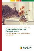 Plantas Medicinais na Esporotricose