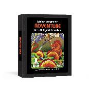 Adventure: The Atari 2600 Game Journal