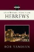 Hebrews: A New Testament Commentary