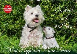 Kobold auf 4 Pfoten - West Highland White Terrier (Wandkalender 2018 DIN A2 quer) Dieser erfolgreiche Kalender wurde dieses Jahr mit gleichen Bildern und aktualisiertem Kalendarium wiederveröffentlicht
