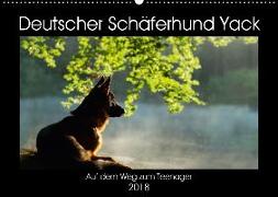Deutscher Schäferhund Yack - Auf dem Weg zum Teenager (Wandkalender 2018 DIN A2 quer) Dieser erfolgreiche Kalender wurde dieses Jahr mit gleichen Bildern und aktualisiertem Kalendarium wiederveröffentlicht