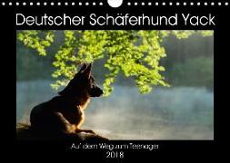 Deutscher Schäferhund Yack - Auf dem Weg zum Teenager (Wandkalender 2018 DIN A4 quer) Dieser erfolgreiche Kalender wurde dieses Jahr mit gleichen Bildern und aktualisiertem Kalendarium wiederveröffentlicht