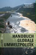 Handbuch Globale Umweltpolitik