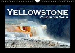 Yellowstone - Wunder der Natur (Wandkalender 2018 DIN A4 quer) Dieser erfolgreiche Kalender wurde dieses Jahr mit gleichen Bildern und aktualisiertem Kalendarium wiederveröffentlicht