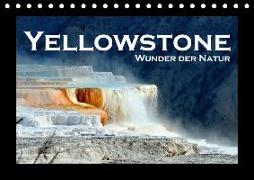 Yellowstone - Wunder der Natur (Tischkalender 2018 DIN A5 quer) Dieser erfolgreiche Kalender wurde dieses Jahr mit gleichen Bildern und aktualisiertem Kalendarium wiederveröffentlicht