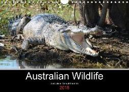 Australian Wildlife (Wandkalender 2018 DIN A4 quer) Dieser erfolgreiche Kalender wurde dieses Jahr mit gleichen Bildern und aktualisiertem Kalendarium wiederveröffentlicht