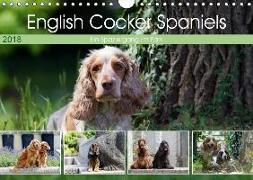 English Cocker Spaniels - Ein Spaziergang im Park (Wandkalender 2018 DIN A4 quer) Dieser erfolgreiche Kalender wurde dieses Jahr mit gleichen Bildern und aktualisiertem Kalendarium wiederveröffentlicht