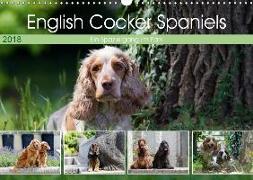 English Cocker Spaniels - Ein Spaziergang im Park (Wandkalender 2018 DIN A3 quer) Dieser erfolgreiche Kalender wurde dieses Jahr mit gleichen Bildern und aktualisiertem Kalendarium wiederveröffentlicht