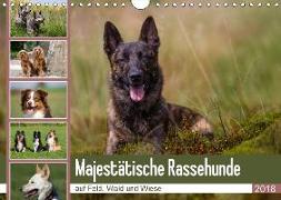 Mäjestätische Rassehunde auf Feld, Wald und Wiese (Wandkalender 2018 DIN A4 quer) Dieser erfolgreiche Kalender wurde dieses Jahr mit gleichen Bildern und aktualisiertem Kalendarium wiederveröffentlicht