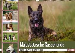 Mäjestätische Rassehunde auf Feld, Wald und Wiese (Wandkalender 2018 DIN A2 quer) Dieser erfolgreiche Kalender wurde dieses Jahr mit gleichen Bildern und aktualisiertem Kalendarium wiederveröffentlicht