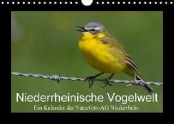 Niederrheinische Vogelwelt (Wandkalender 2018 DIN A4 quer) Dieser erfolgreiche Kalender wurde dieses Jahr mit gleichen Bildern und aktualisiertem Kalendarium wiederveröffentlicht