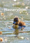 Deutschlands Wasservögel (Wandkalender 2018 DIN A4 hoch) Dieser erfolgreiche Kalender wurde dieses Jahr mit gleichen Bildern und aktualisiertem Kalendarium wiederveröffentlicht