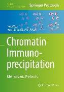 Chromatin Immunoprecipitation