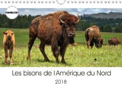 Les bisons de l'Amérique du Nord (Calendrier mural 2018 DIN A4 horizontal) Dieser erfolgreiche Kalender wurde dieses Jahr mit gleichen Bildern und aktualisiertem Kalendarium wiederveröffentlicht