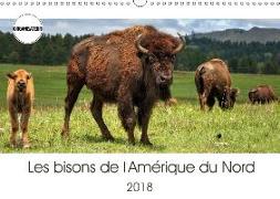 Les bisons de l'Amérique du Nord (Calendrier mural 2018 DIN A3 horizontal) Dieser erfolgreiche Kalender wurde dieses Jahr mit gleichen Bildern und aktualisiertem Kalendarium wiederveröffentlicht