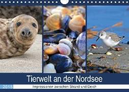 Tierwelt an der Nordsee 2018 (Wandkalender 2018 DIN A4 quer)
