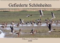 Gefiederte Schönheiten - Wildgänse in Norddeutschland (Wandkalender 2018 DIN A2 quer)