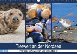 Tierwelt an der Nordsee 2018 (Wandkalender 2018 DIN A3 quer)