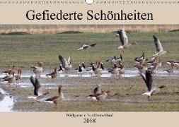 Gefiederte Schönheiten - Wildgänse in Norddeutschland (Wandkalender 2018 DIN A3 quer)