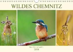 Wildes Chemnitz - Hase, Eisvogel und Co. (Wandkalender 2018 DIN A4 quer) Dieser erfolgreiche Kalender wurde dieses Jahr mit gleichen Bildern und aktualisiertem Kalendarium wiederveröffentlicht