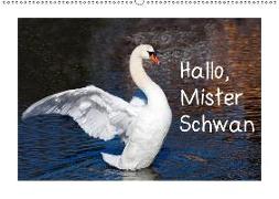 Hallo, Mister Schwan (Wandkalender 2018 DIN A2 quer) Dieser erfolgreiche Kalender wurde dieses Jahr mit gleichen Bildern und aktualisiertem Kalendarium wiederveröffentlicht