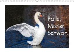 Hallo, Mister Schwan (Wandkalender 2018 DIN A3 quer) Dieser erfolgreiche Kalender wurde dieses Jahr mit gleichen Bildern und aktualisiertem Kalendarium wiederveröffentlicht