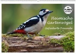Heimische Gartenvögel Gefiederte Freunde (Wandkalender 2018 DIN A2 quer) Dieser erfolgreiche Kalender wurde dieses Jahr mit gleichen Bildern und aktualisiertem Kalendarium wiederveröffentlicht