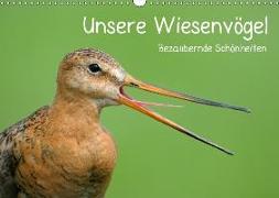 Unsere Wiesenvögel - Bezaubernde Schönheiten (Wandkalender 2018 DIN A3 quer) Dieser erfolgreiche Kalender wurde dieses Jahr mit gleichen Bildern und aktualisiertem Kalendarium wiederveröffentlicht