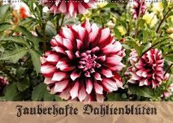 Zauberhafte Dahlienblüten (Wandkalender 2018 DIN A2 quer) Dieser erfolgreiche Kalender wurde dieses Jahr mit gleichen Bildern und aktualisiertem Kalendarium wiederveröffentlicht