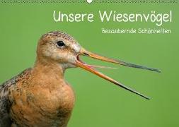 Unsere Wiesenvögel - Bezaubernde Schönheiten (Wandkalender 2018 DIN A2 quer) Dieser erfolgreiche Kalender wurde dieses Jahr mit gleichen Bildern und aktualisiertem Kalendarium wiederveröffentlicht