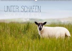 Unter Schafen - Wegbegleiter auf Reisen (Wandkalender 2018 DIN A2 quer) Dieser erfolgreiche Kalender wurde dieses Jahr mit gleichen Bildern und aktualisiertem Kalendarium wiederveröffentlicht