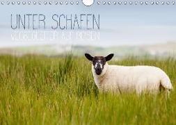 Unter Schafen - Wegbegleiter auf Reisen (Wandkalender 2018 DIN A4 quer) Dieser erfolgreiche Kalender wurde dieses Jahr mit gleichen Bildern und aktualisiertem Kalendarium wiederveröffentlicht
