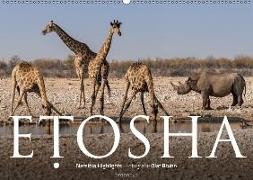 ETOSHA - Namibia Highlights (Wandkalender 2018 DIN A2 quer) Dieser erfolgreiche Kalender wurde dieses Jahr mit gleichen Bildern und aktualisiertem Kalendarium wiederveröffentlicht