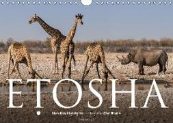 ETOSHA - Namibia Highlights (Wandkalender 2018 DIN A4 quer) Dieser erfolgreiche Kalender wurde dieses Jahr mit gleichen Bildern und aktualisiertem Kalendarium wiederveröffentlicht