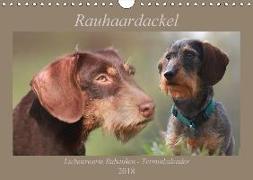 Rauhaardackel - Liebenswerte Rabauken Terminkalender (Wandkalender 2018 DIN A4 quer) Dieser erfolgreiche Kalender wurde dieses Jahr mit gleichen Bildern und aktualisiertem Kalendarium wiederveröffentlicht