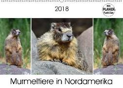 Murmeltiere in Nordamerika (Wandkalender 2018 DIN A2 quer) Dieser erfolgreiche Kalender wurde dieses Jahr mit gleichen Bildern und aktualisiertem Kalendarium wiederveröffentlicht
