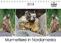Murmeltiere in Nordamerika (Tischkalender 2018 DIN A5 quer) Dieser erfolgreiche Kalender wurde dieses Jahr mit gleichen Bildern und aktualisiertem Kalendarium wiederveröffentlicht