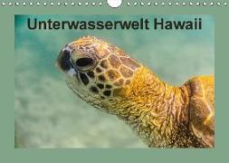 Unterwasserwelt Hawaii (Wandkalender 2018 DIN A4 quer) Dieser erfolgreiche Kalender wurde dieses Jahr mit gleichen Bildern und aktualisiertem Kalendarium wiederveröffentlicht