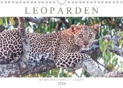 Leoparden - Geheimnisvolle Jäger (Wandkalender 2018 DIN A4 quer) Dieser erfolgreiche Kalender wurde dieses Jahr mit gleichen Bildern und aktualisiertem Kalendarium wiederveröffentlicht