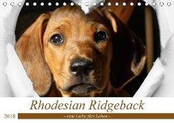 Rhodesian Ridgeback - eine Liebe fürs Leben (Tischkalender 2018 DIN A5 quer) Dieser erfolgreiche Kalender wurde dieses Jahr mit gleichen Bildern und aktualisiertem Kalendarium wiederveröffentlicht